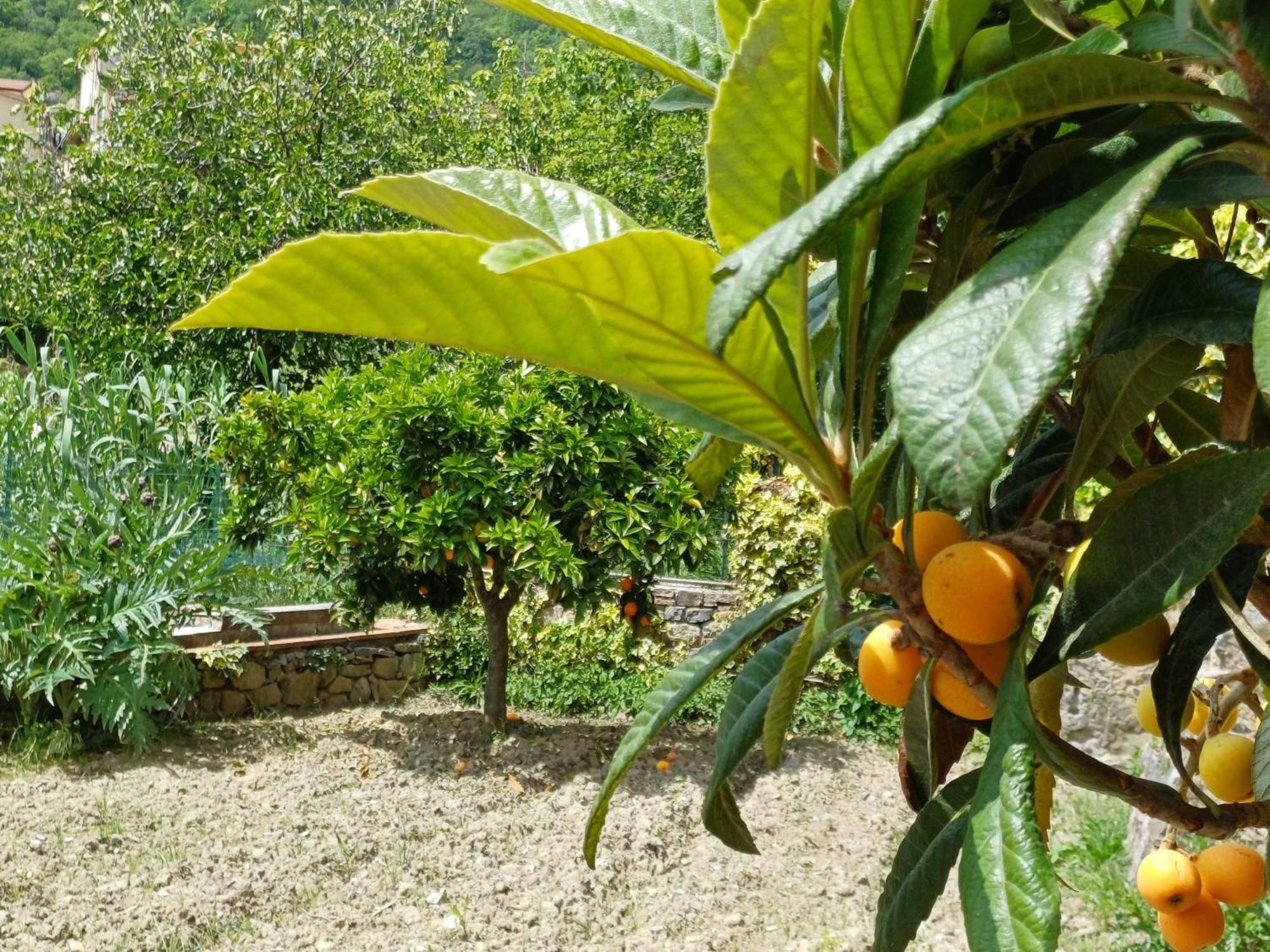 Country House B&B Antica Dimora Del Sole Camerota Buitenkant foto