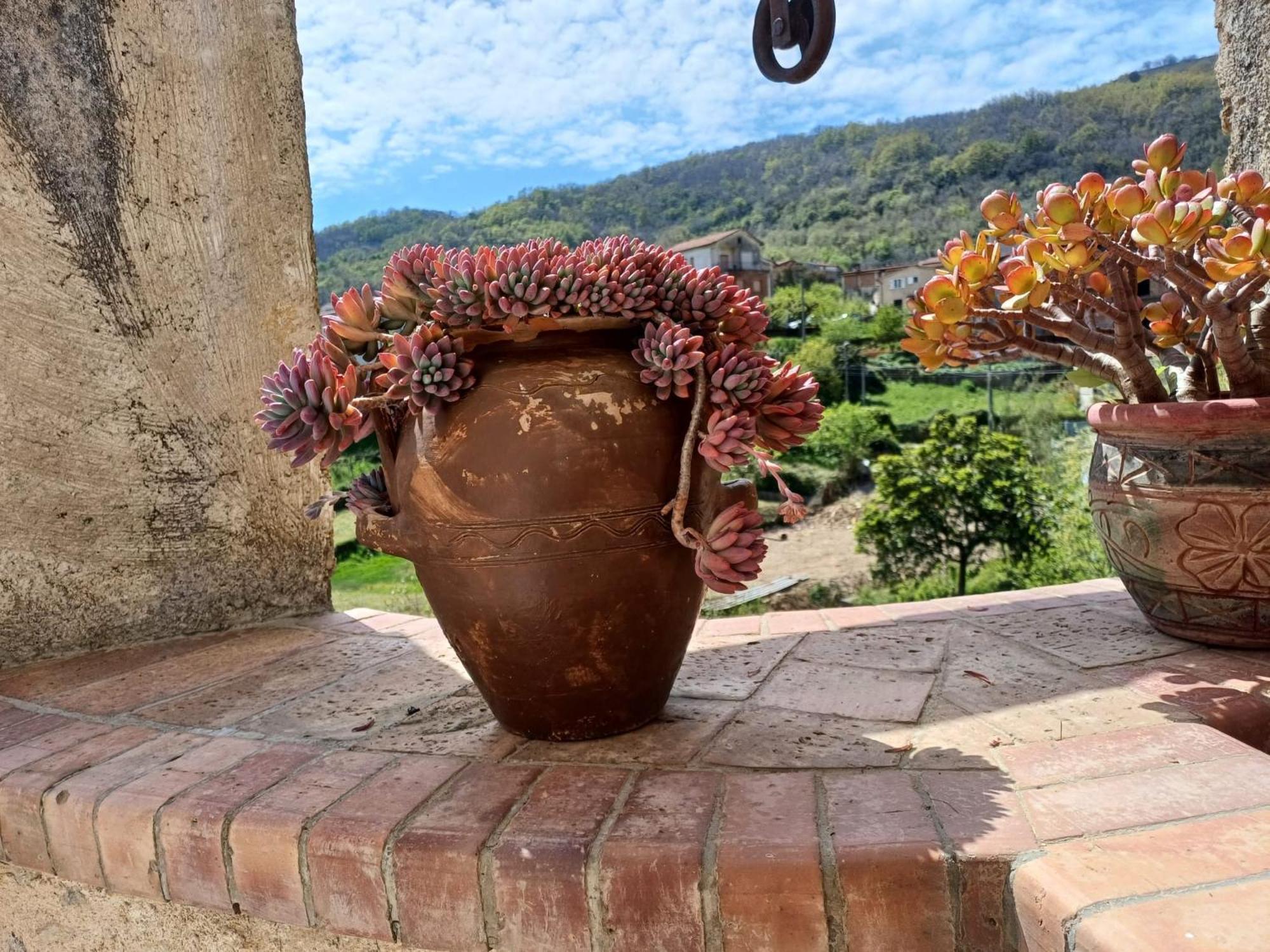 Country House B&B Antica Dimora Del Sole Camerota Buitenkant foto